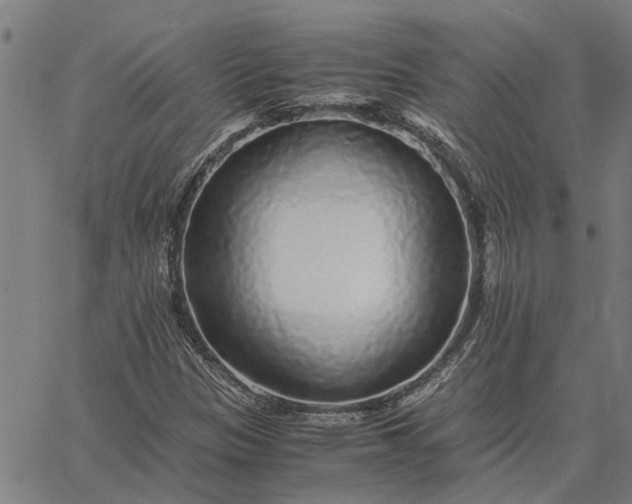 X0000065241305200603031728