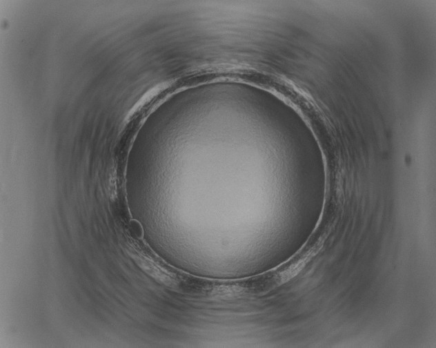 X0000065241306200603031728