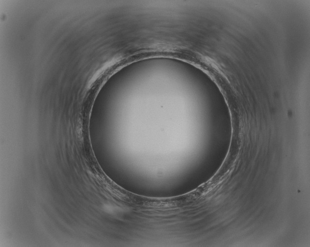 X0000065241307200603031728