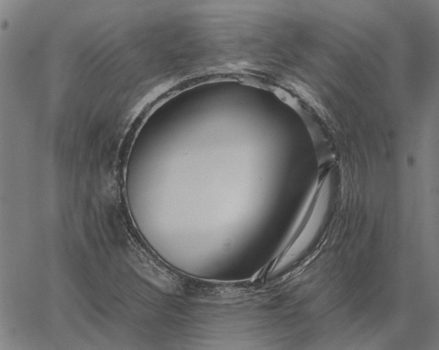 X0000065241308200603031728