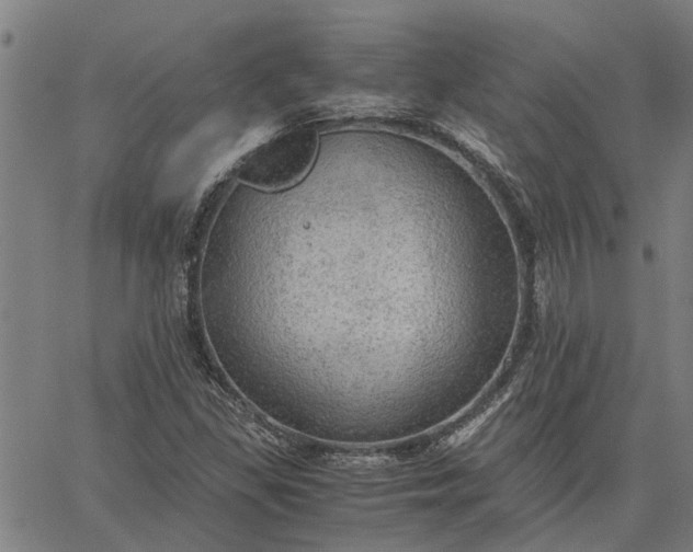 X0000065241309200603031728