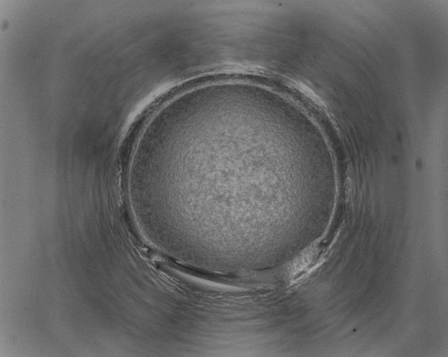 X0000065241310200603031728