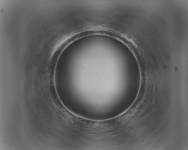 X0000065241311200603031728