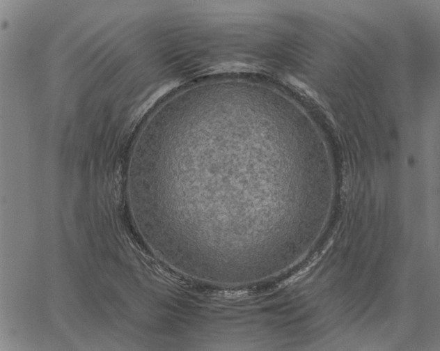 X0000065241313200603031728