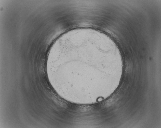 X0000065241314200603031728