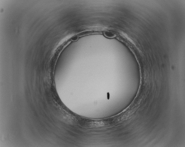 X0000065241315200603031728