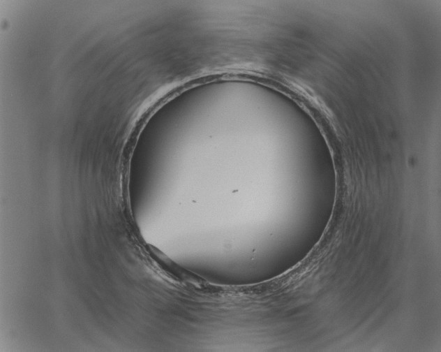 X0000065241316200603031728