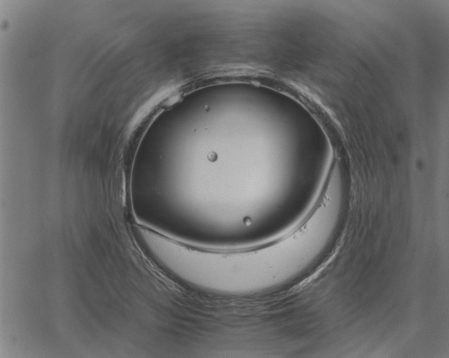 X0000065241317200603031728