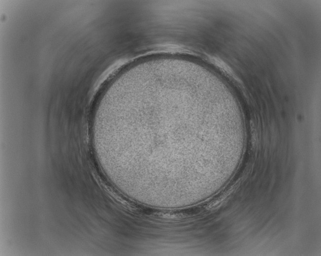 X0000065241318200603031728