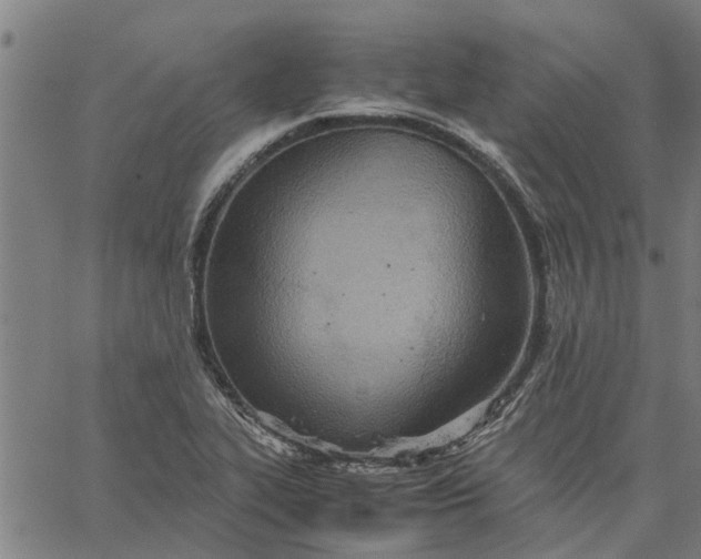 X0000065241319200603031728