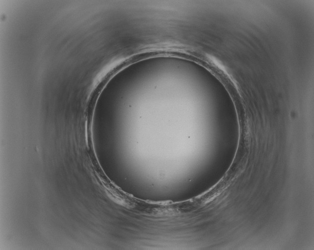 X0000065241320200603031728