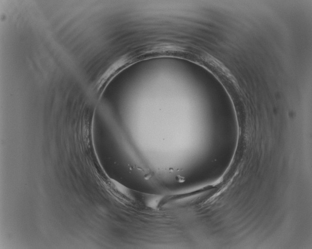 X0000065241321200603031728