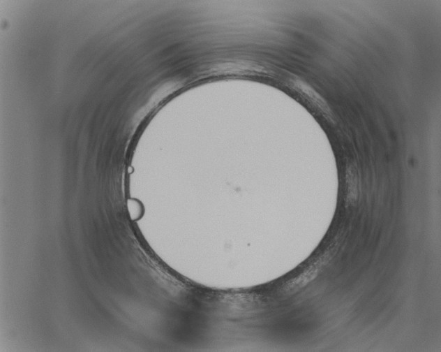 X0000065241322200603031728