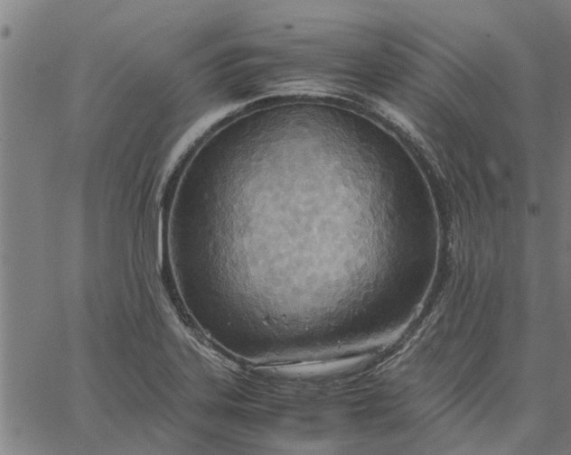 X0000065241323200603031728