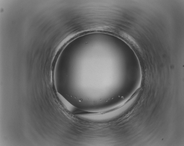 X0000065241324200603031728