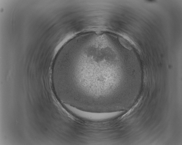 X0000065241325200603031728