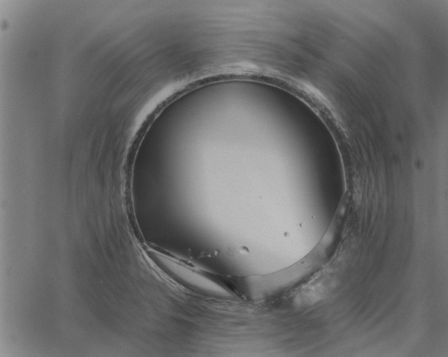 X0000065241326200603031728