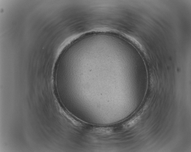 X0000065241327200603031729