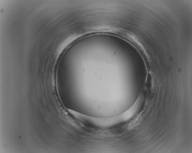 X0000065241328200603031729