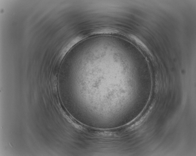 X0000065241329200603031729