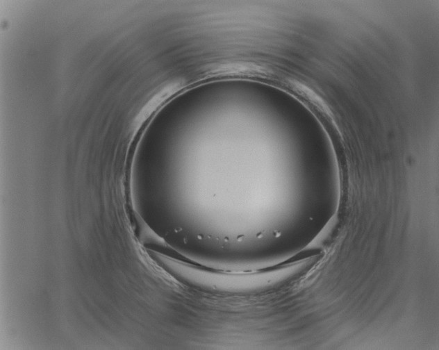 X0000065241330200603031729