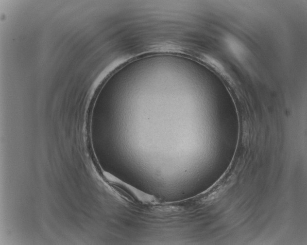 X0000065241331200603031729