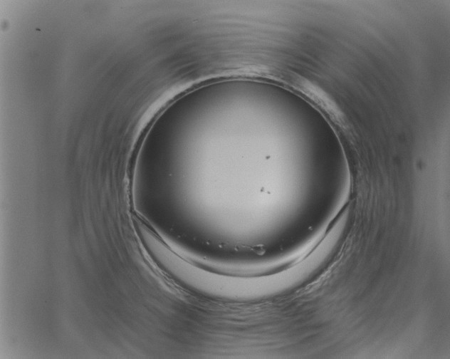 X0000065241332200603031729