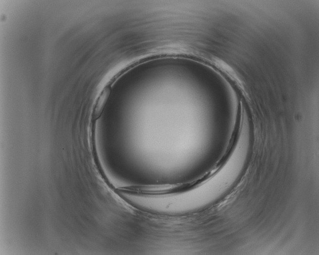 X0000065241334200603031729