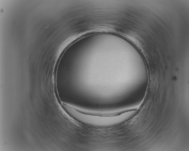 X0000065241335200603031729