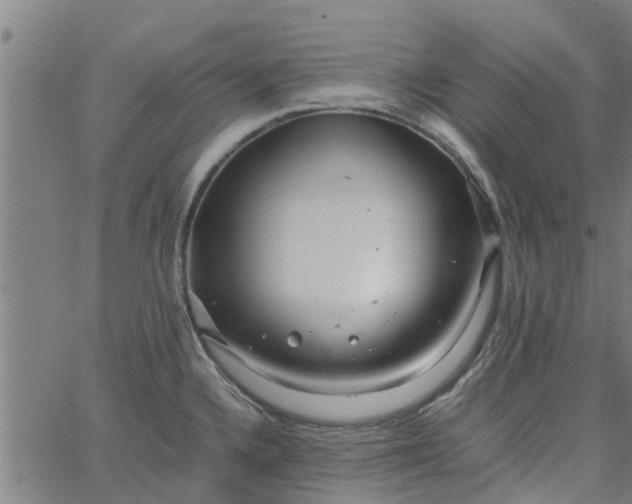 X0000065241336200603031729