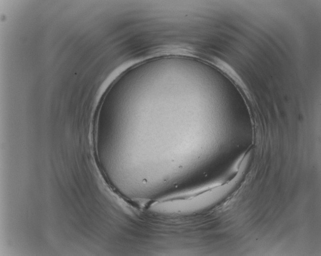 X0000065241339200603031729