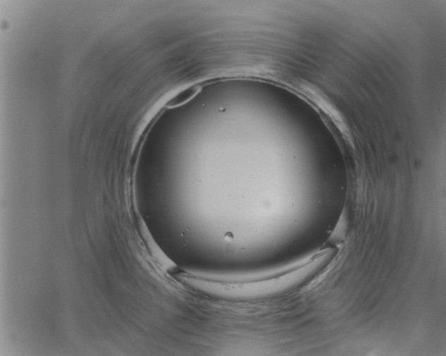 X0000065241340200603031729