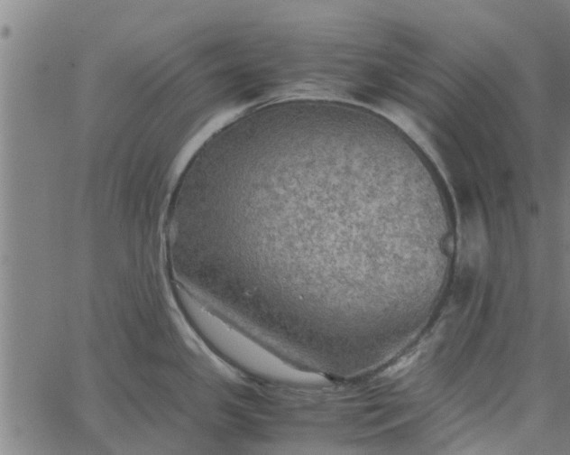 X0000065241341200603031729