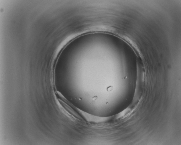 X0000065241342200603031729