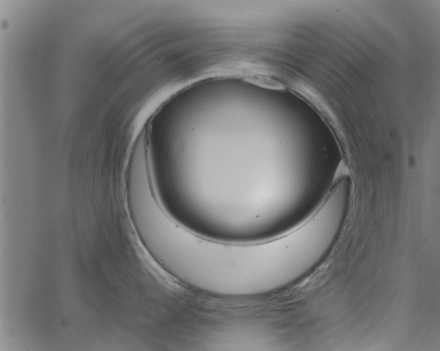 X0000065241344200603031729