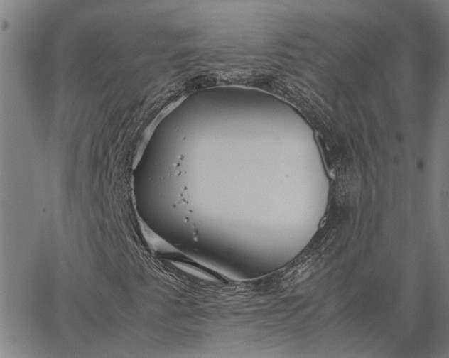 X0000065241345200603031728