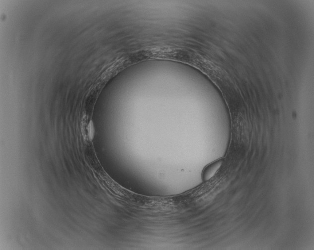 X0000065241346200603031728