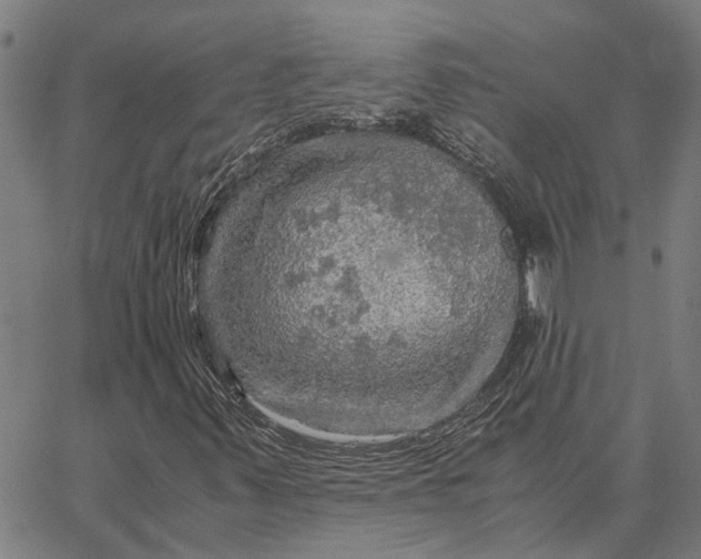 X0000065241347200603031728