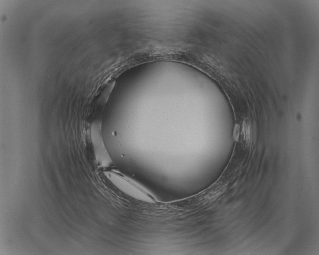 X0000065241348200603031728