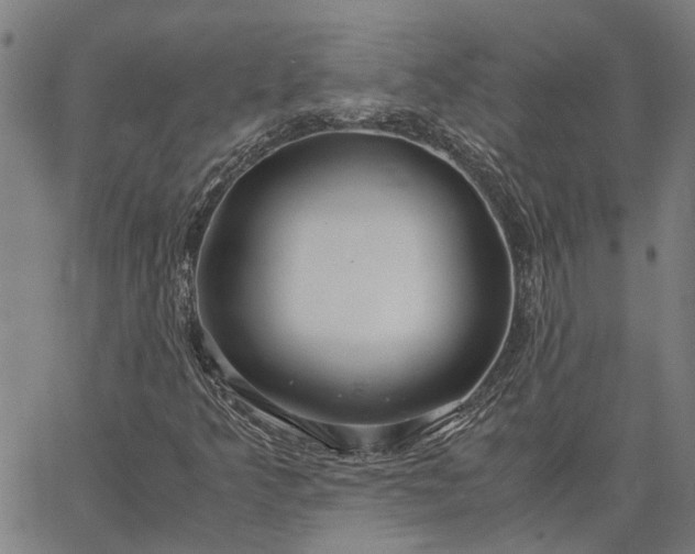 X0000065241349200603031728