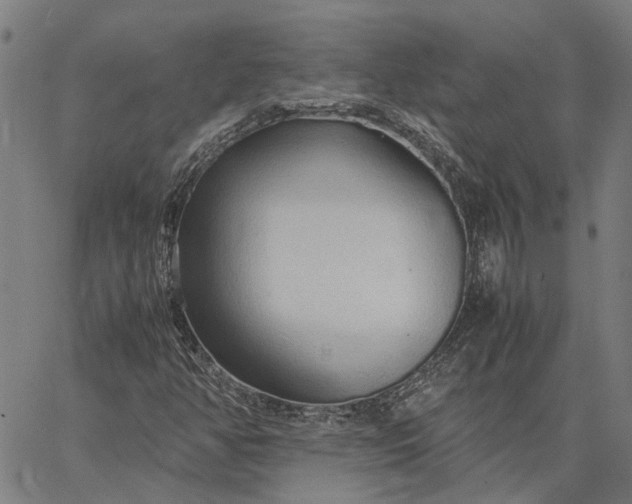 X0000065241350200603031728