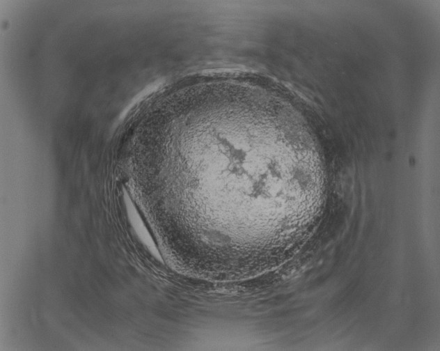 X0000065241351200603031728