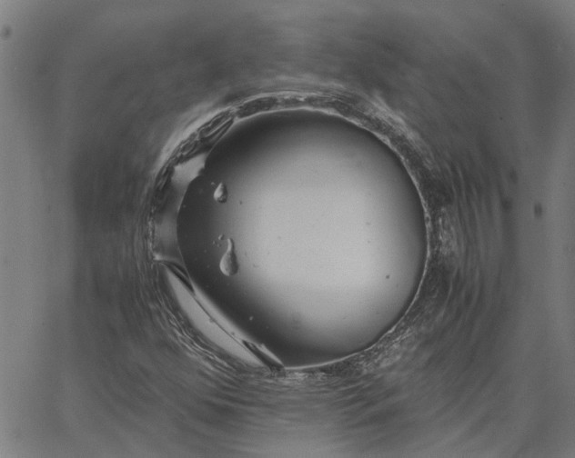 X0000065241352200603031728