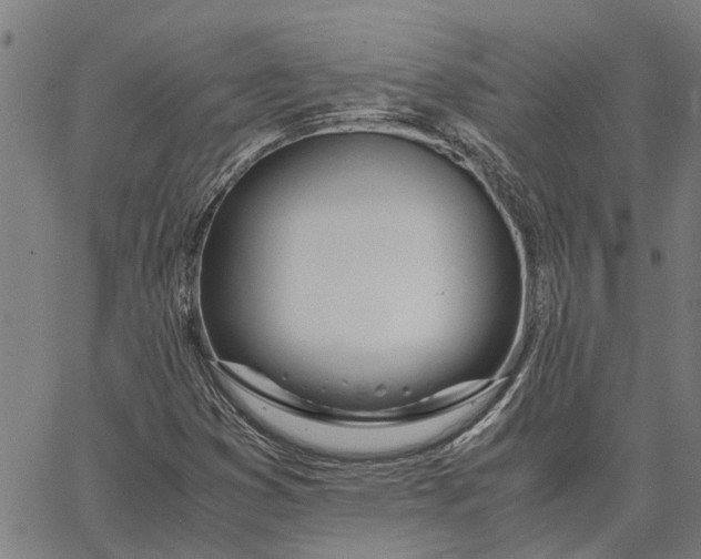 X0000065241353200603031728