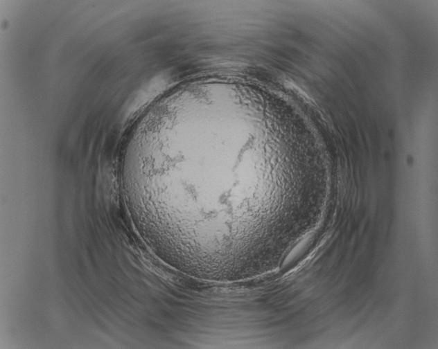 X0000065241354200603031728