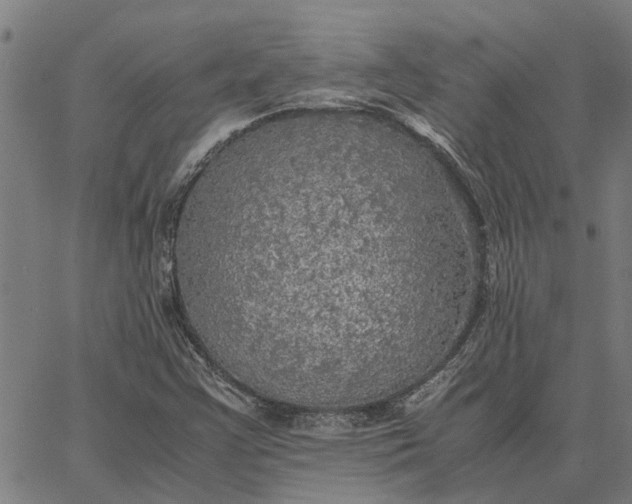 X0000065241355200603031728