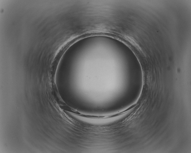 X0000065241356200603031728