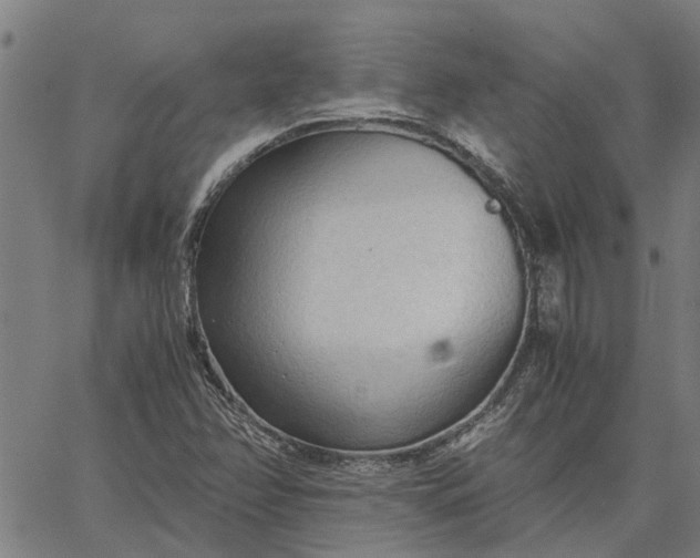 X0000065241358200603031728