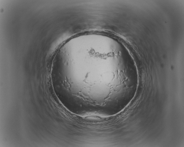 X0000065241359200603031728