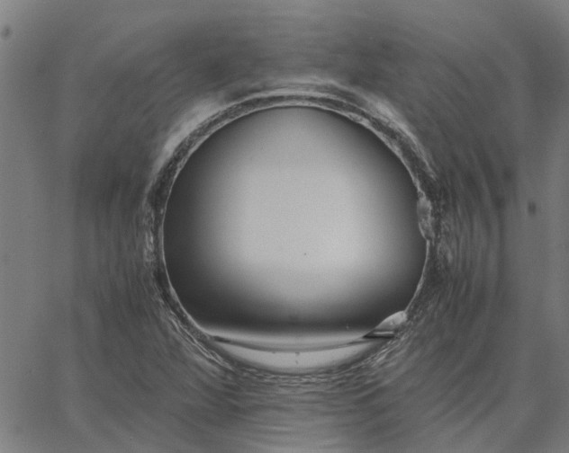 X0000065241360200603031728